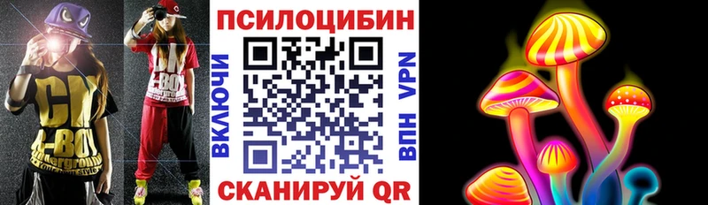 Купить закладки Шуя Псилоцибиновые грибы мицелий